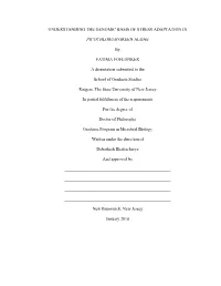 UNDERSTANDING the GENOMIC BASIS of STRESS ADAPTATION in PICOCHLORUM GREEN ALGAE by FATIMA FOFLONKER a Dissertation Submitted To