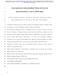 A Key Interfacial Residue Identified with In-Cell Structure Characterization Of