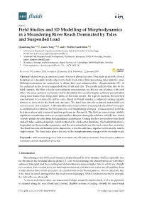 Field Studies and 3D Modelling of Morphodynamics in a Meandering River Reach Dominated by Tides and Suspended Load