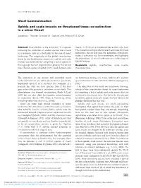 Aphids and Scale Insects on Threatened Trees: Co-Extinction Is a Minor Threat