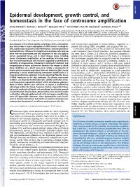 Epidermal Development, Growth Control, and Homeostasis in the Face of Centrosome Amplification