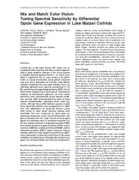 Mix and Match Color Vision: Tuning Spectral Sensitivity by Differential Opsin Gene Expression in Lake Malawi Cichlids
