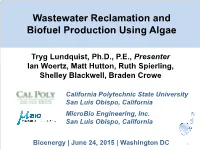 Wastewater Reclamation and Biofuel Production Using Algae