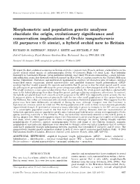 (2008) Morphometric and Population Genetic Analyses