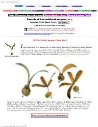 Botanical Record-Breakers (Part 2 of 2)