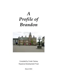 Executive Summary - Brandon………………………………………… 2 - 3