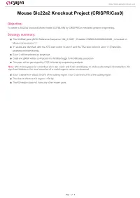 Mouse Slc22a2 Knockout Project (CRISPR/Cas9)