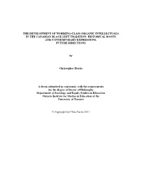 Overview of Marxism, Black Liberation, and Black Working-Class Organic Intellectuals