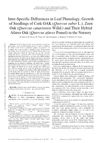 Inter-Specific Differences in Leaf Phenology, Growth Of