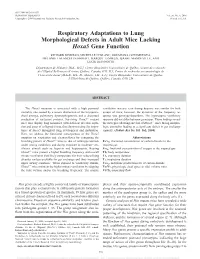 Respiratory Adaptations to Lung Morphological Defects in Adult Mice Lacking Hoxa5 Gene Function