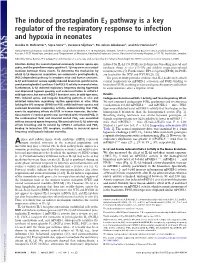 The Induced Prostaglandin E2 Pathway Is a Key Regulator of the Respiratory Response to Infection and Hypoxia in Neonates