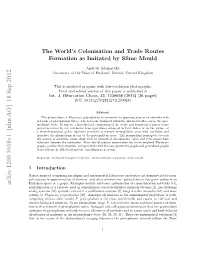 The World's Colonisation and Trade Routes Formation As Imitated By