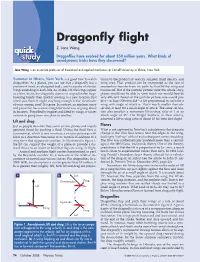 Dragonfly Flight Quick Z