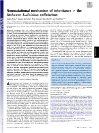 Nonmutational Mechanism of Inheritance in the Archaeon Sulfolobus Solfataricus
