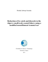 Reduction of By-Catch and Discards in the Algarve Small-Scale Coastal Fishery Using a Modified Monofilament Trammel Net