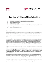 Overview of History of Irish Animation