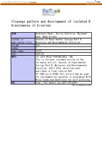 Cleavage Pattern and Development of Isolated D Blastomeres in Bivalves