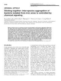 Inter-Species Aggregation of Bacteria Isolated from Iron Snow Is Controlled by Chemical Signaling