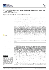 Structures in Shallow Marine Sediments Associated with Gas and Fluid Migration