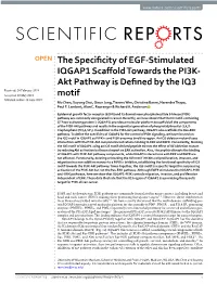 The Specificity of EGF-Stimulated IQGAP1 Scaffold Towards the PI3K-Akt Pathway Is Defined by the IQ3 Motif