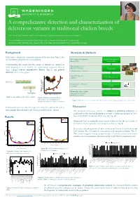 Background Materials & Methods Results Discussion