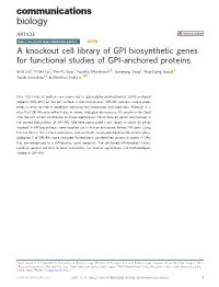 A Knockout Cell Library of GPI Biosynthetic Genes for Functional Studies of GPI-Anchored Proteins