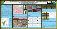 Field and Microstructure Study of Transpressive Jogdadi Shear Zone