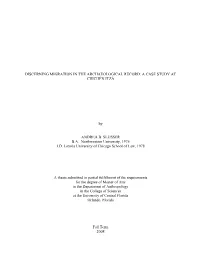 Thesis – Fall 2008 (.Pdf)