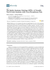The Spider Anatomy Ontology (SPD)—A Versatile Tool to Link Anatomy with Cross-Disciplinary Data