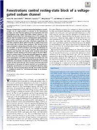 Fenestrations Control Resting-State Block of a Voltage-Gated Sodium