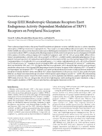 Group II/III Metabotropic Glutamate Receptors Exert Endogenous Activity-Dependent Modulation of TRPV1 Receptors on Peripheral Nociceptors