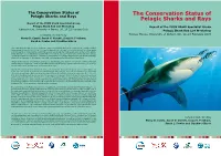The Conservation Status of Pelagic Sharks and Rays