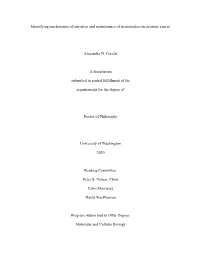 Identifying Mechanisms of Initiation and Maintenance of Neuroendocrine Prostate Cancer Alexandra N. Corella a Dissertation Subm