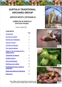 Notes on the Cultivation of Hazel, Cobs and Filberts