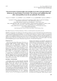 Characterization of Polymorphic Microsatellite Loci in the Neotropical