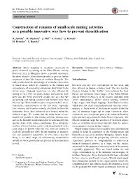 Construction of Remains of Small-Scale Mining Activities As a Possible Innovative Way How to Prevent Desertification