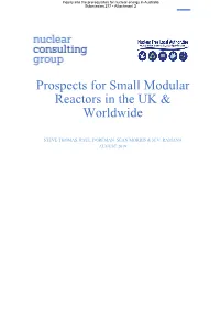 Prospects for Small Modular Reactors in the UK & Worldwide