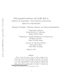 Self-Organized Patterns and Traffic Flow in Colonies of Organisms