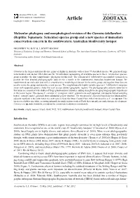 Molecular Phylogeny and Morphological