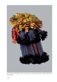 Munduruku and Apiaká Featherwork in the Johann Natterer Collection