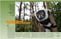Old World Primates Face New World Challenge