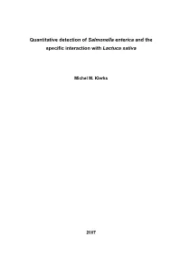 Salmonella Enterica and the Specific Interaction with Lactuca Sativa