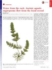 Ancient Aquatic Angiosperms Flow from the Fossil Record Donald H