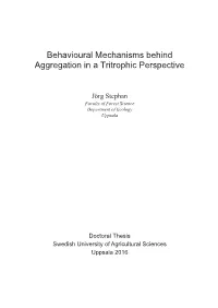 Behavioural Mechanisms Behind Aggregation in a Tritrophic Perspective