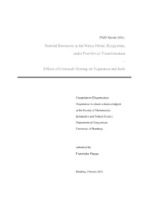 Phd Thesis Title