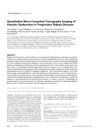 Quantitative Micro-Computed Tomography Imaging of Vascular Dysfunction in Progressive Kidney Diseases