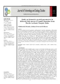 Study on Biometric Growth Parameters in Different Fish Species of Family