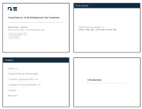Visualization in Multiobjective Optimization