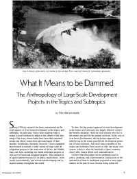 What It Means to Be Dammed: the Anthropology of Large-Scale Development Projects in the Tropics