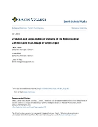Evolution and Unprecedented Variants of the Mitochondrial Genetic Code in a Lineage of Green Algae